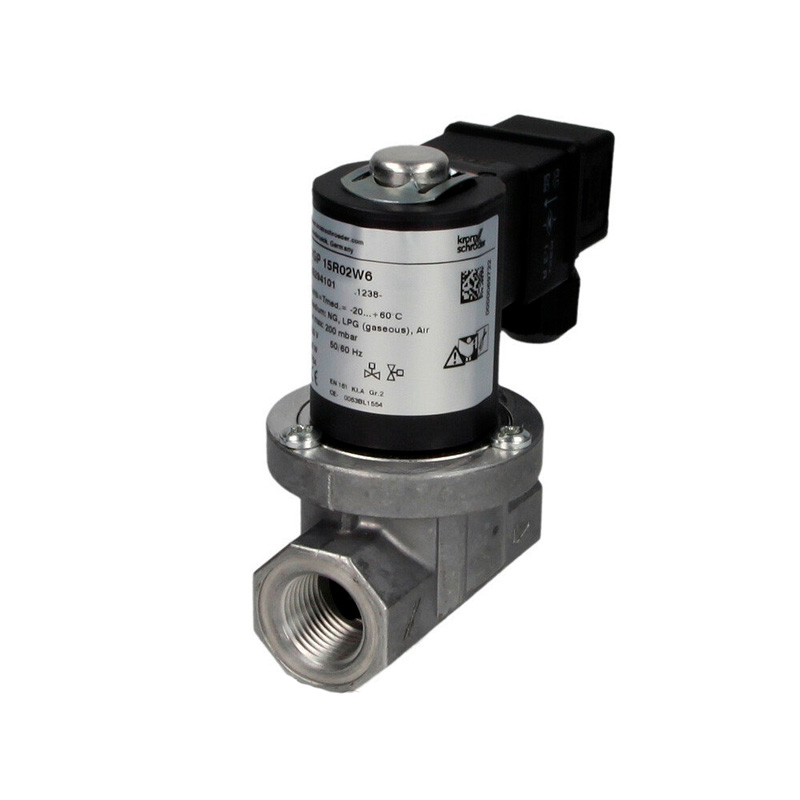 Kromschroder valves