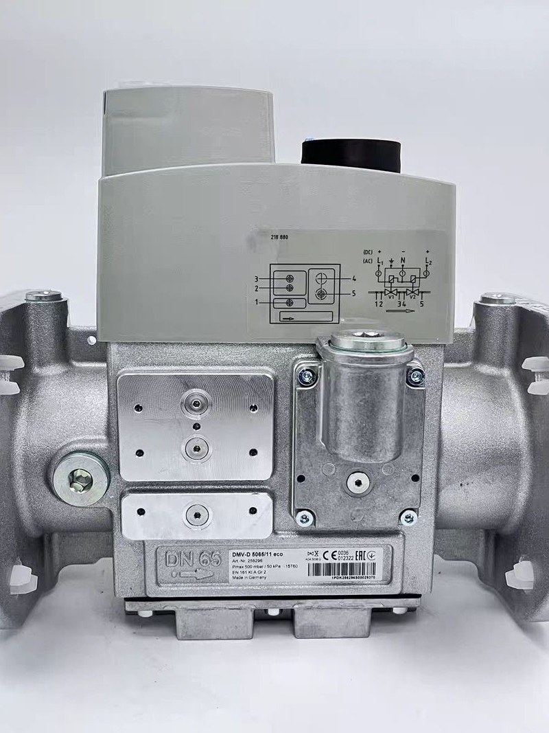 dungs dmv d 5065 11