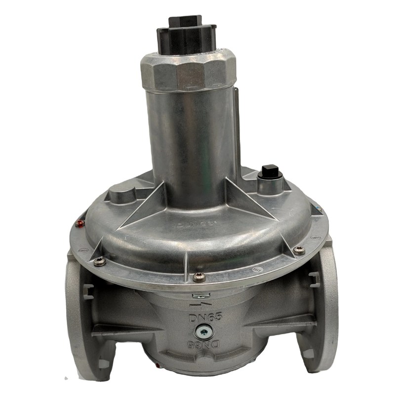 dungs frs 5065