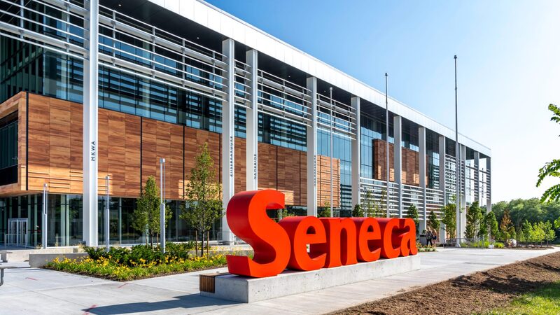 Новые направления компании Seneca