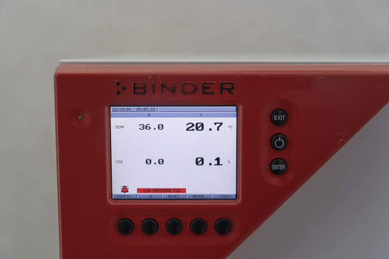 binder инкубатор binder инкубатор
