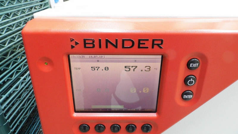 binder инкубатор binder инкубатор