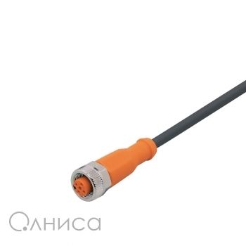 EVC001 IFM