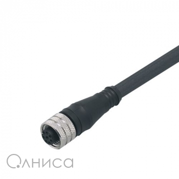 E12404 IFM