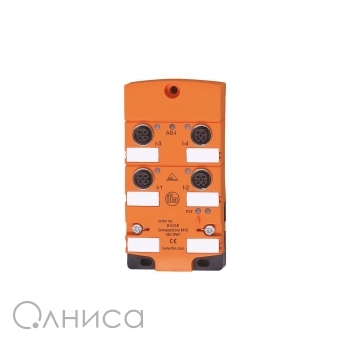 AC2486 IFM