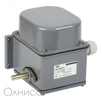 KV-1-250-1 IEK