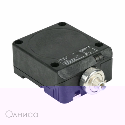 C090025D Automation Direct