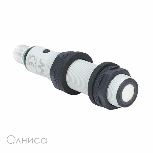 FVS10M-38G Automation Direct