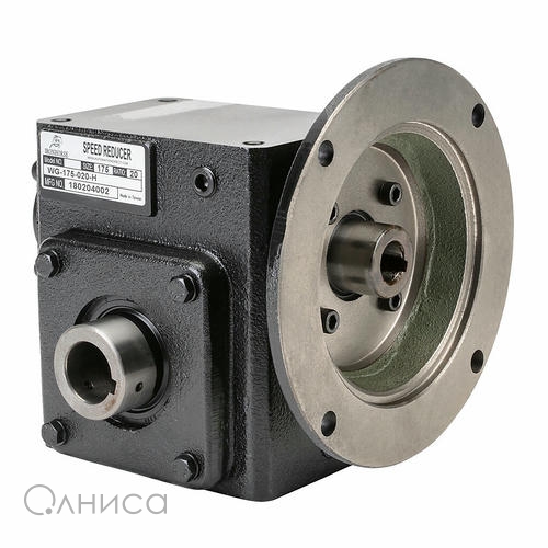 CAGNUT1224-50 HAMMOND
