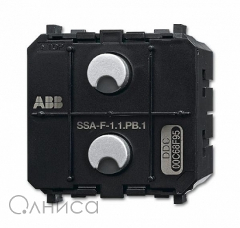 SSA-F-1.1.PB.1 ABB