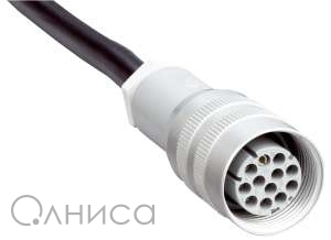 2022546_s Sick