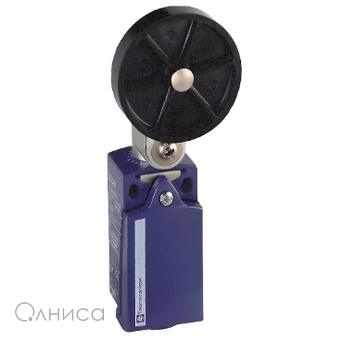 XCKD2539P16 Schneider Electric