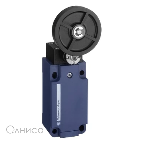 XCKS139H29 Schneider Electric