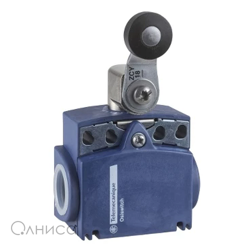XCKT2118G11 Schneider Electric