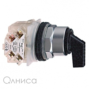 SC9001KS11FB Schneider Electric
