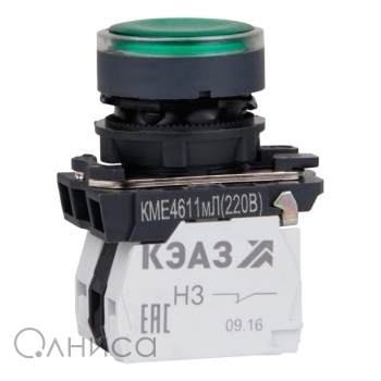KEAZ248250 КЭАЗ