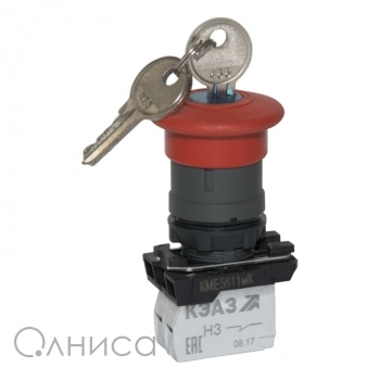 KEAZ248257 КЭАЗ