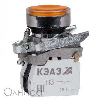 KEAZ248262 КЭАЗ