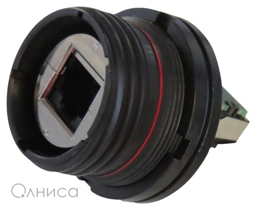 RJFTV6A7SA5GF059 Amphenol