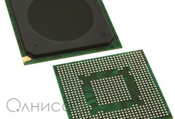 P1013NSE2LFB NXP Semiconductors