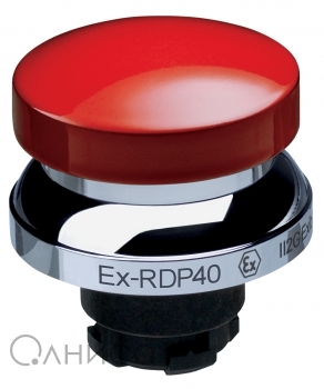EX-RDP40RT Schmersal