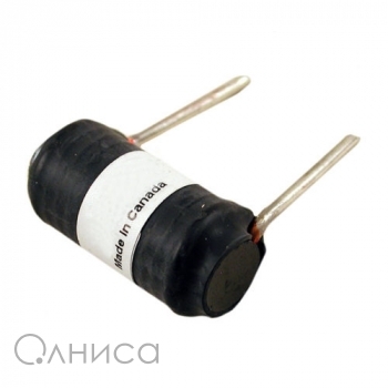 283021