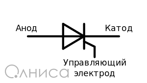 1162405
