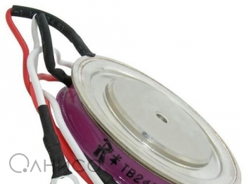 A009156 Ruichi