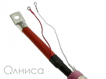 A009128 Ruichi