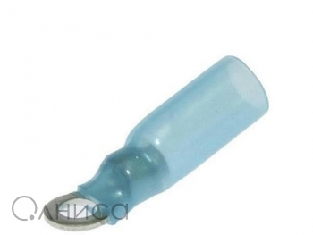 A001884 Ruichi