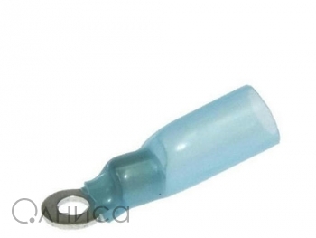 A001882 Ruichi