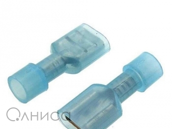 A001820 Ruichi