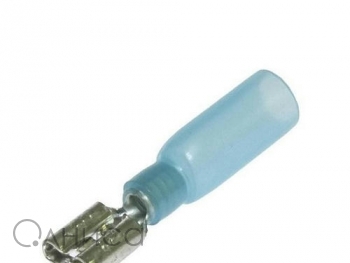 A001815 Ruichi