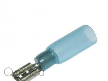 A001812 Ruichi