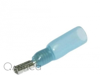 A001811 Ruichi