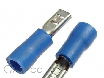 A001800 Ruichi