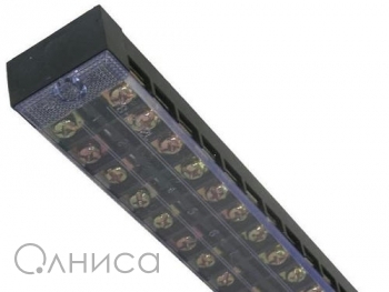 A001689 Ruichi