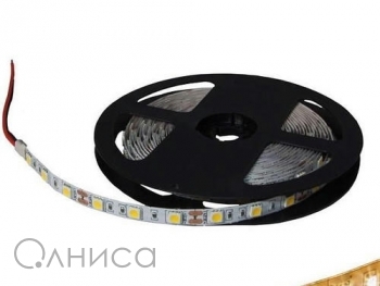 A004931 Ruichi