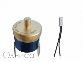 A013024 Ruichi