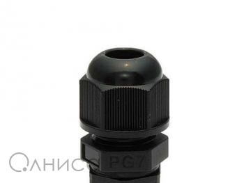 A010214 Ruichi