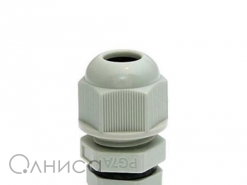 A010182 Ruichi