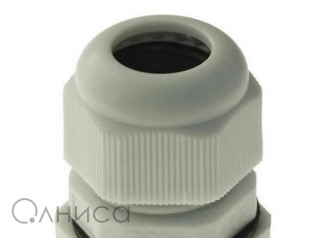 A010137 Ruichi