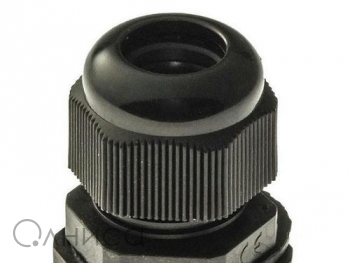 A010133 Ruichi