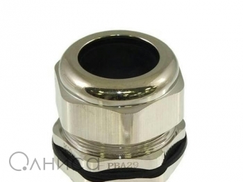 A010113 Ruichi