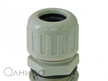 A010096 Ruichi