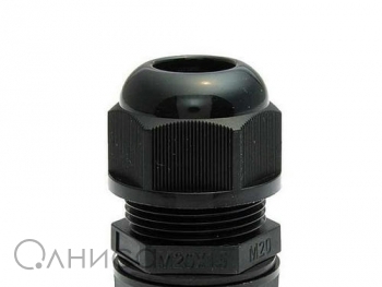 A010052 Ruichi