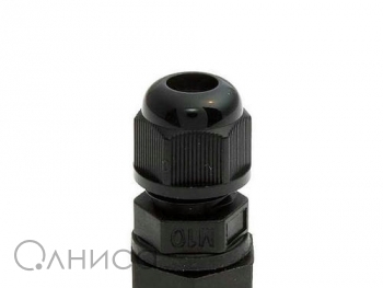 A010031 Ruichi
