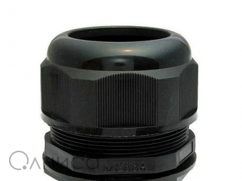 A010022 Ruichi