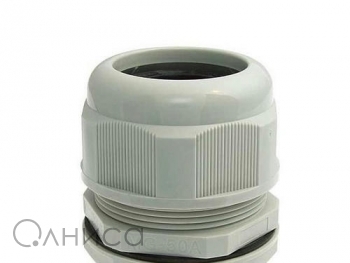 A010018 Ruichi
