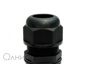 A009993 Ruichi